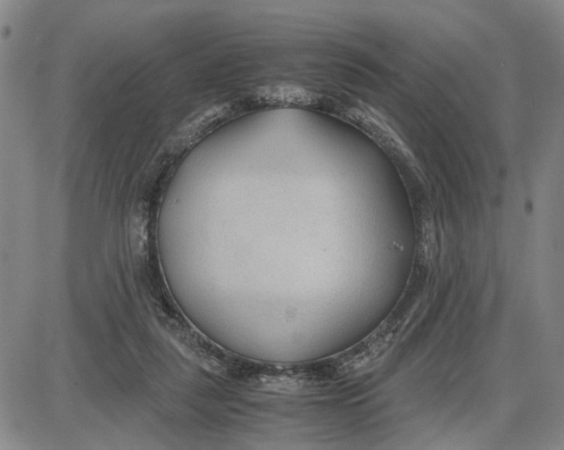 X0000087640259200705241247