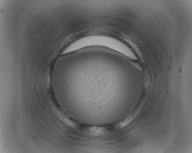 X0000087640261200705241247