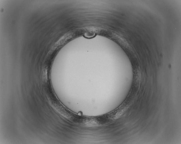 X0000087640262200705241247