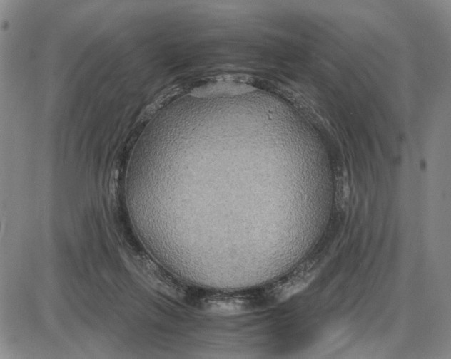 X0000087640263200705241247