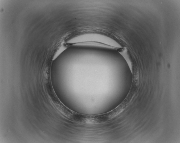 X0000087640264200705241247