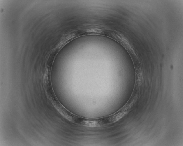 X0000087640265200705241247