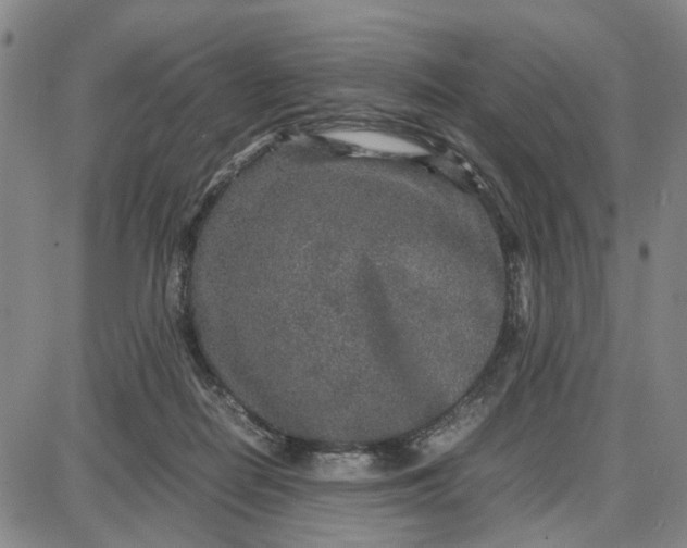 X0000087640266200705241247