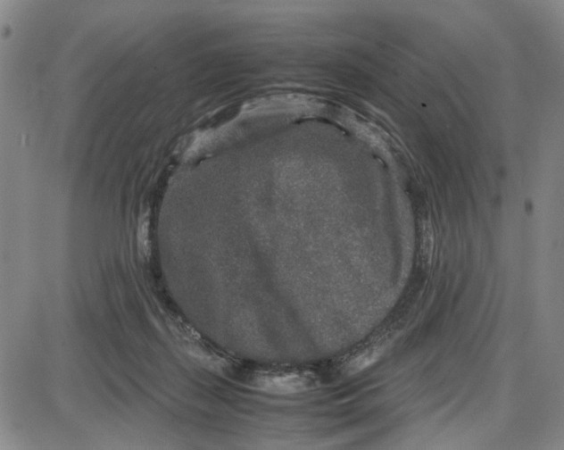 X0000087640267200705241247