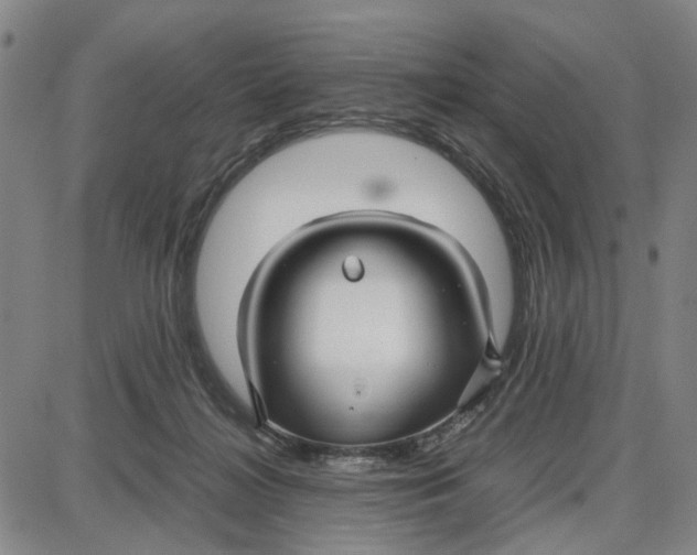 X0000087640268200705241247