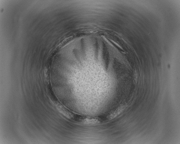 X0000087640270200705241247