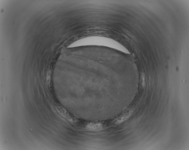 X0000087640271200705241247