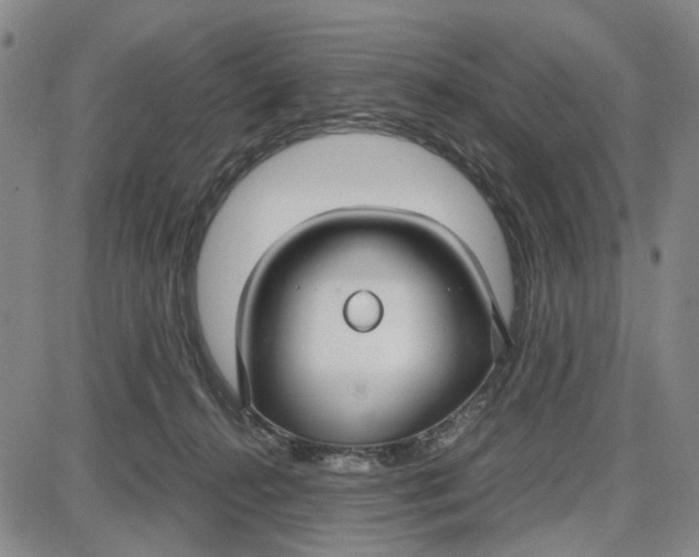 X0000087640272200705241247