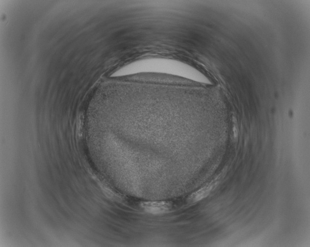 X0000087640273200705241247