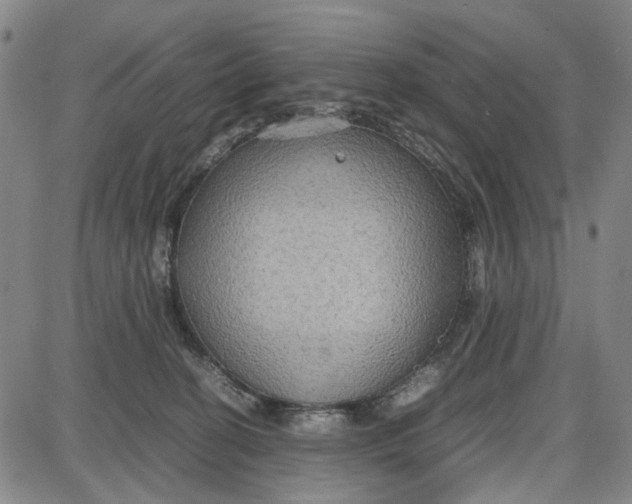 X0000087640274200705241247