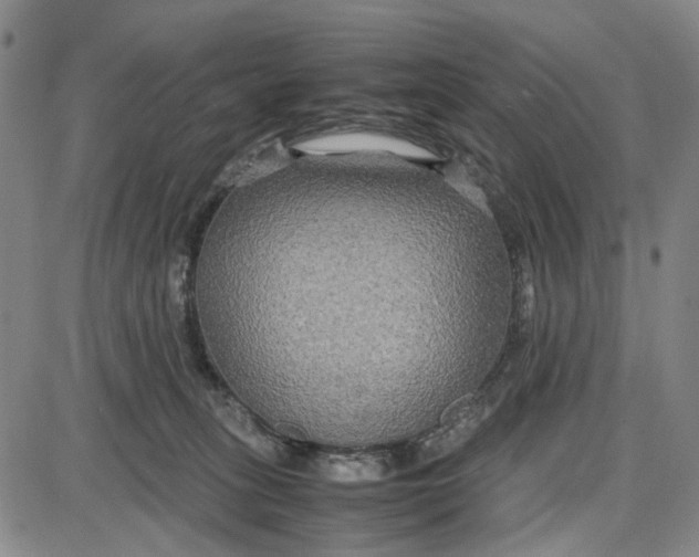 X0000087640275200705241247