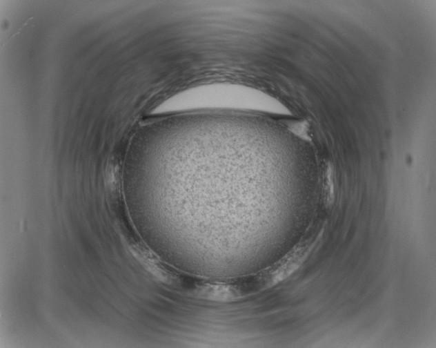 X0000087640276200705241247