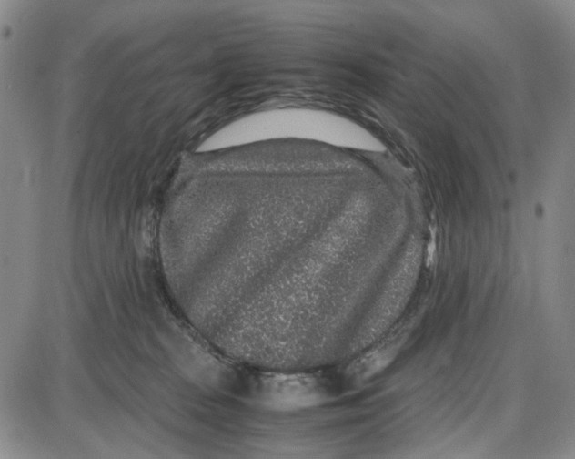 X0000087640277200705241247