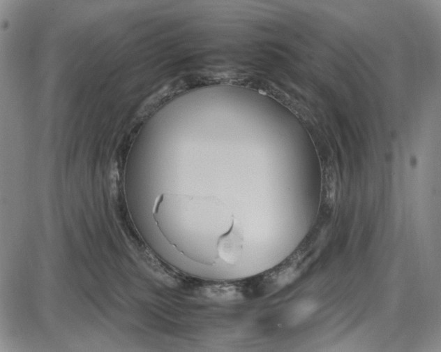 X0000087640279200705241247