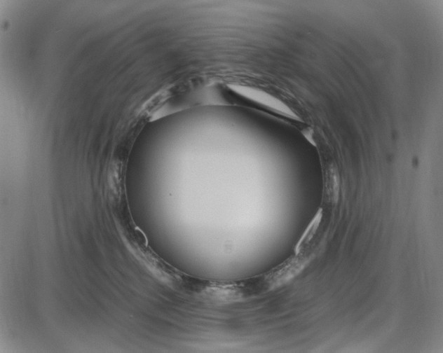 X0000087640280200705241247