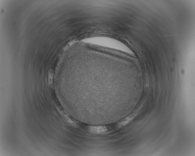 X0000087640281200705241247