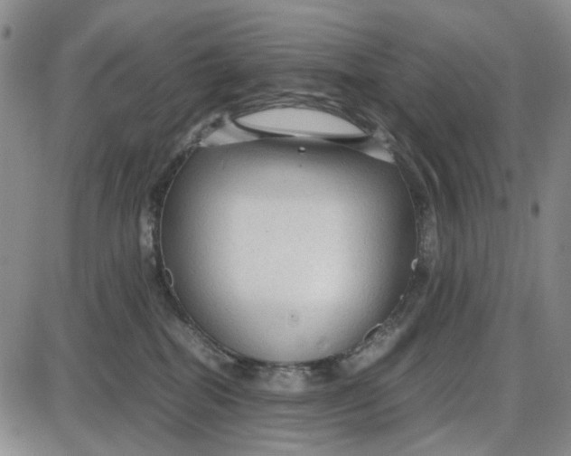 X0000087640282200705241247