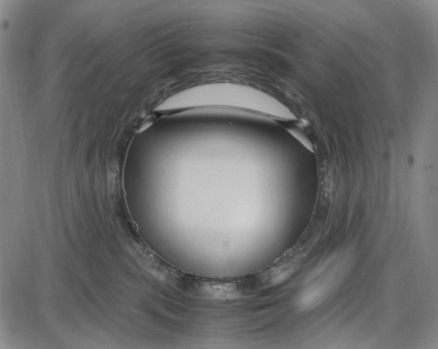 X0000087640283200705241247