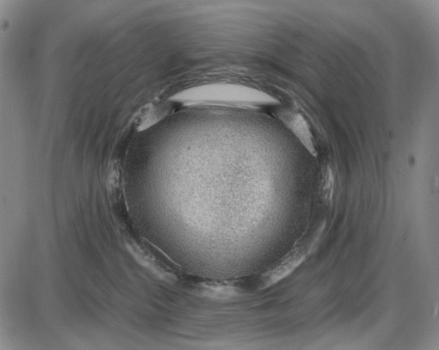 X0000087640284200705241247