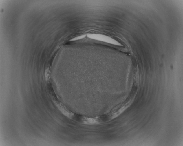 X0000087640285200705241247