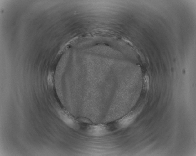 X0000087640286200705241247