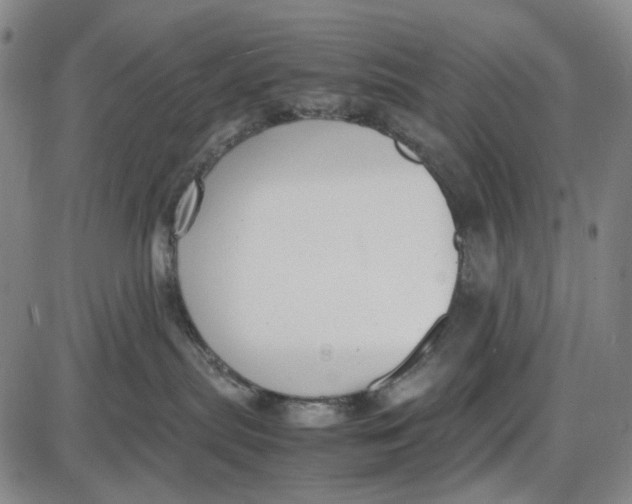 X0000087640287200705241247