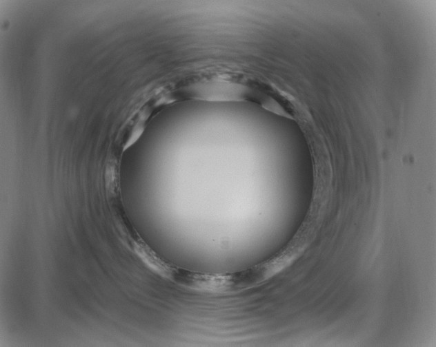 X0000087640288200705241247