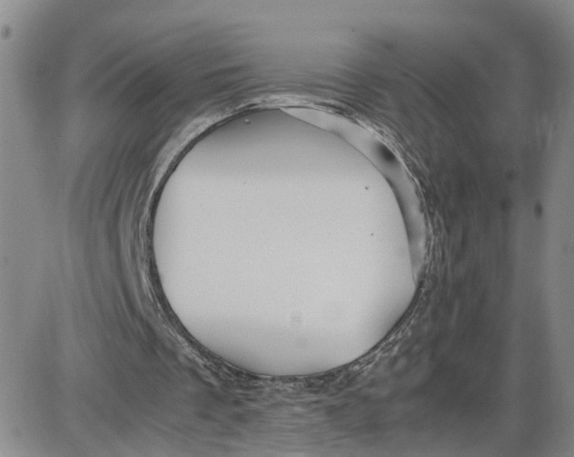 X0000087640289200705241247