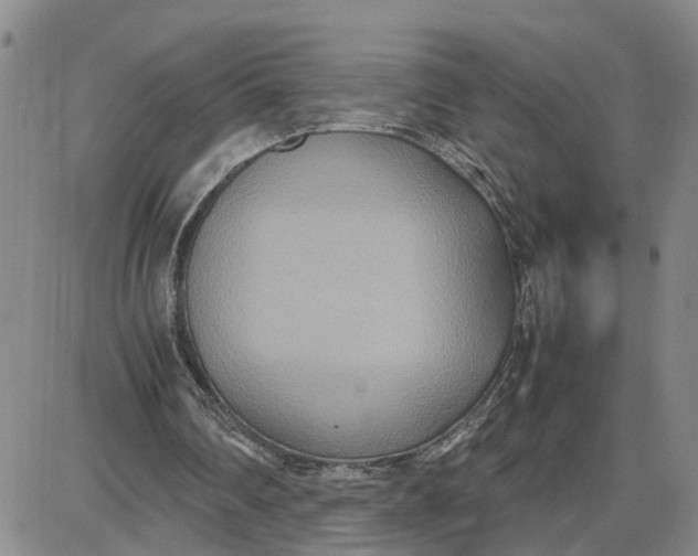 X0000087640290200705241247