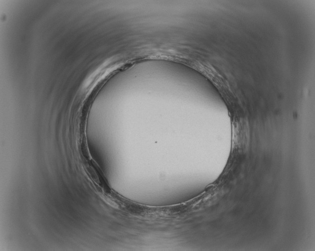 X0000087640291200705241246