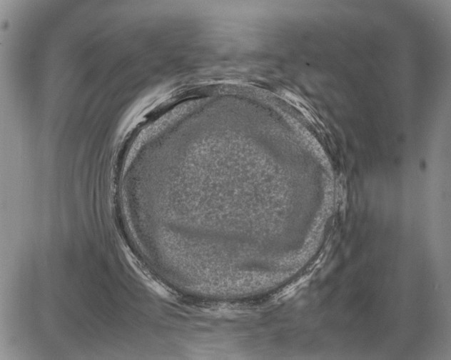 X0000087640293200705241246