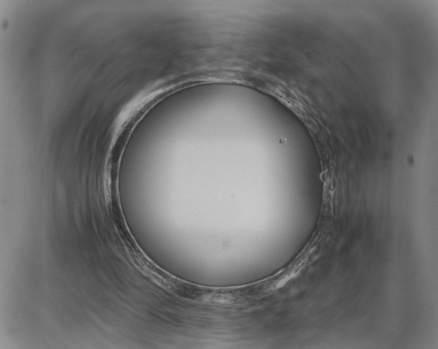 X0000087640294200705241246