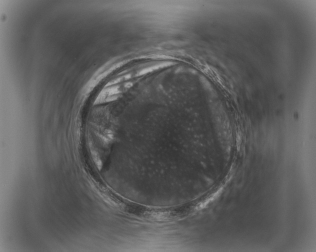 X0000087640295200705241246