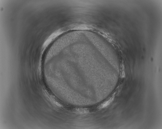 X0000087640296200705241246