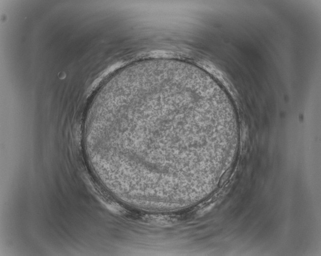 X0000087640297200705241246