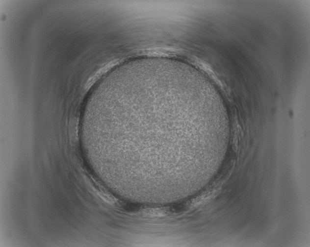 X0000087640299200705241246