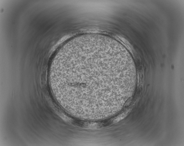 X0000087640301200705241246