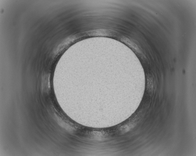 X0000087640302200705241246