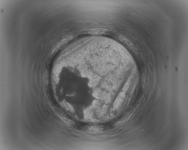 X0000087640303200705241246