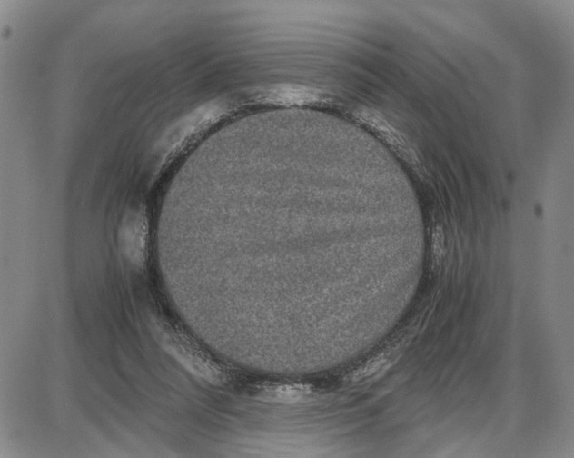 X0000087640304200705241246