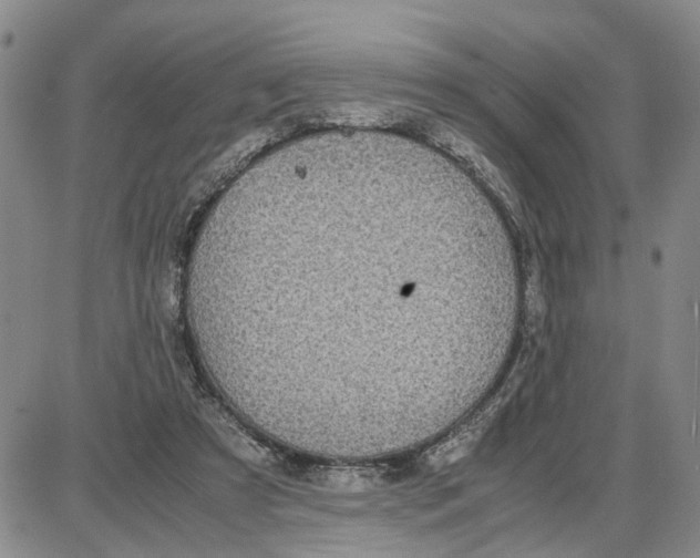 X0000087640305200705241246