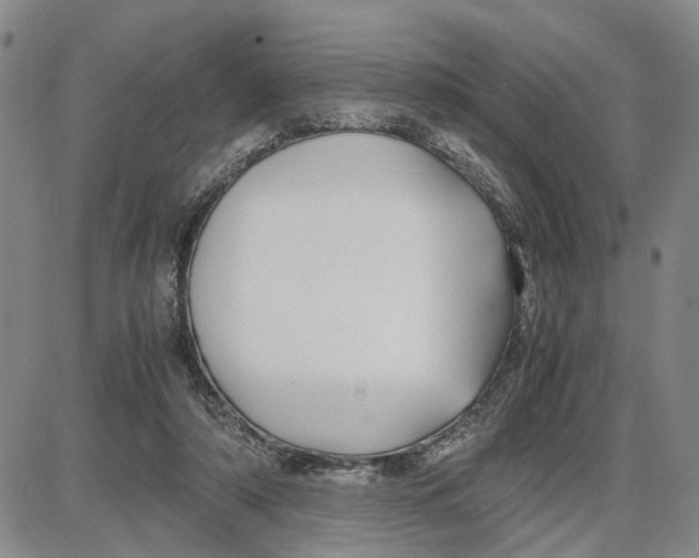 X0000087640306200705241246