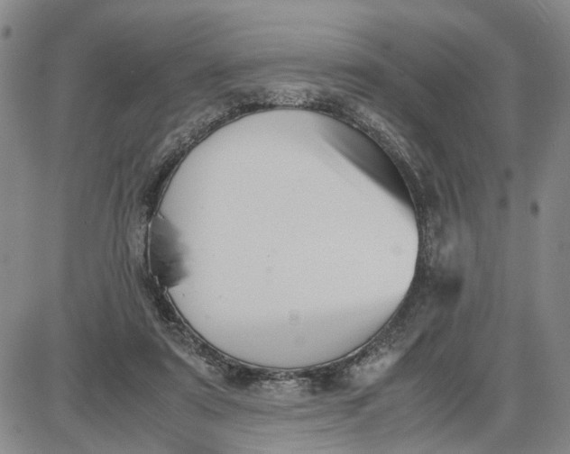 X0000087640307200705241246