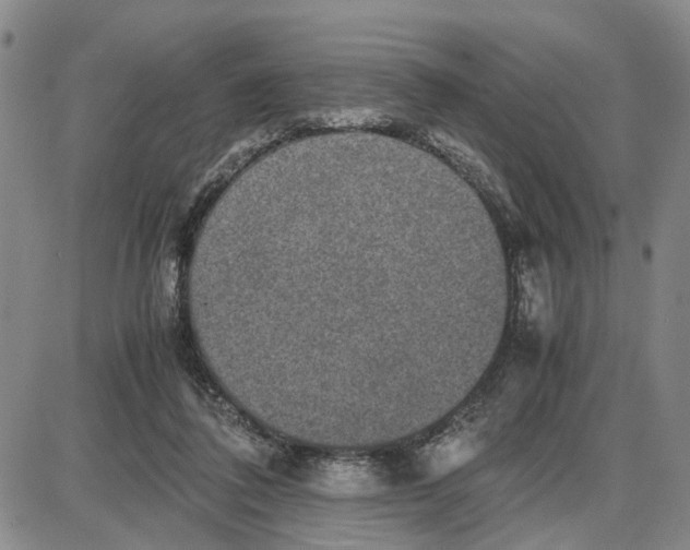 X0000087640308200705241246