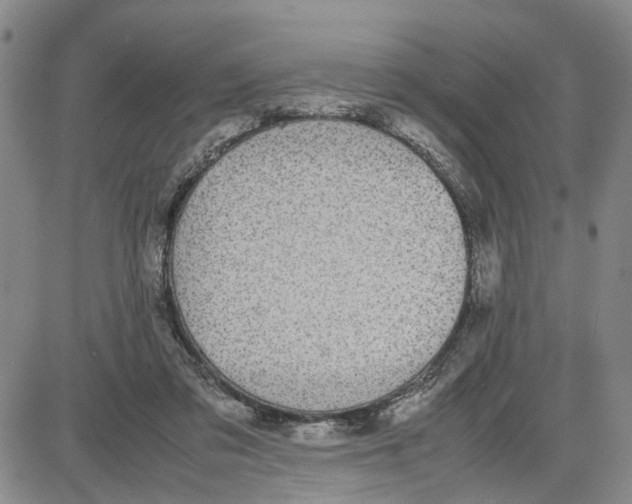 X0000087640309200705241246