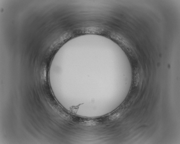 X0000087640310200705241246