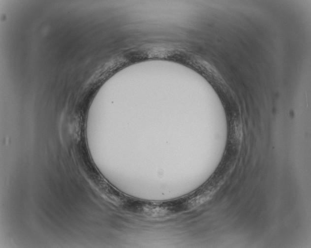 X0000087640311200705241246