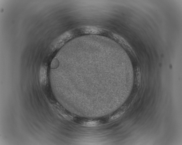 X0000087640312200705241246