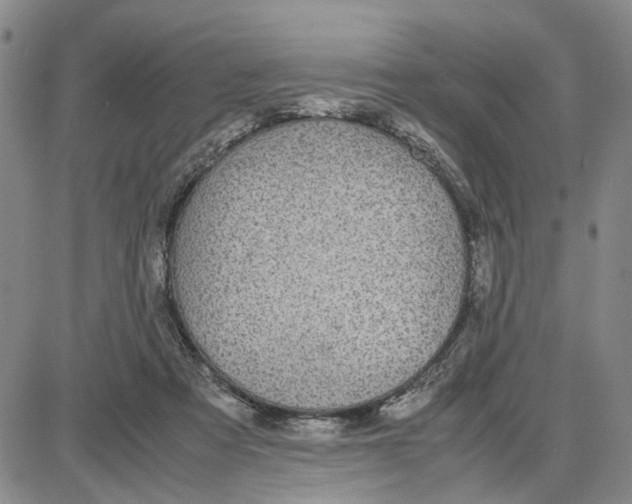 X0000087640313200705241246