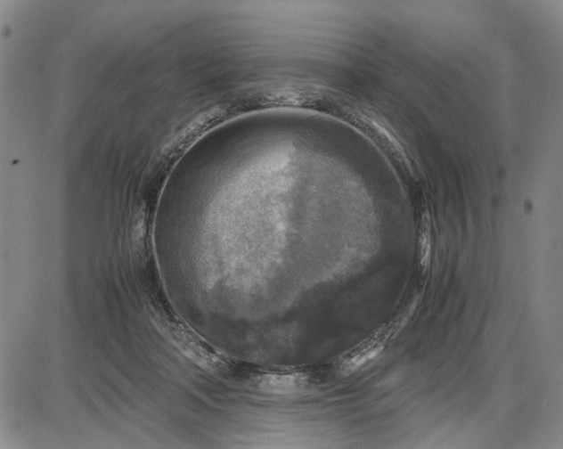 X0000087640314200705241246